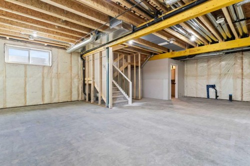 315 Kinniburgh Loop, Chestermere, AB - Indoor Photo Showing Basement