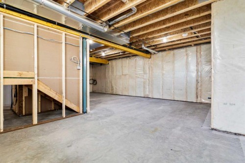 315 Kinniburgh Loop, Chestermere, AB - Indoor Photo Showing Basement