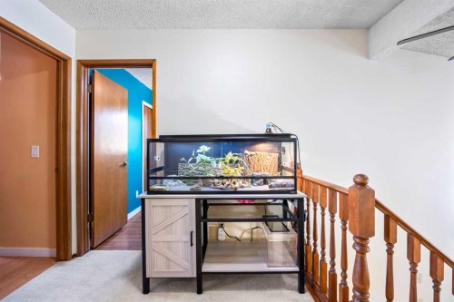 76 Bedford Circle Ne, Calgary, AB - Indoor Photo Showing Other Room