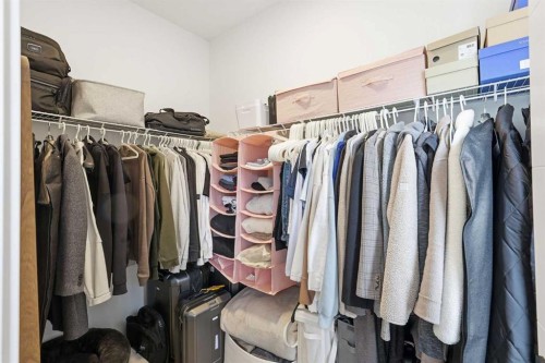 162 Spring Creek Common Sw, Calgary, AB - Indoor With Storage