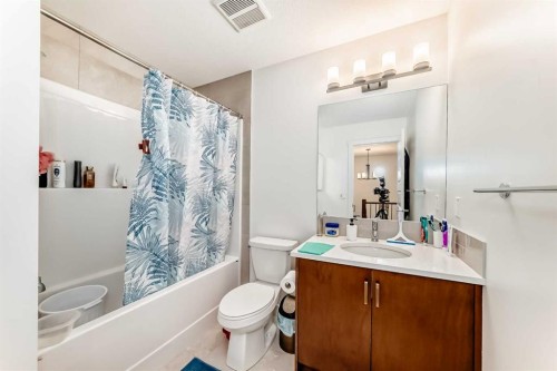 10 Homestead Passage Ne, Calgary, AB - Indoor Photo Showing Bathroom