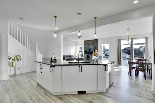 32 Redstone Court Ne, Calgary, AB - Indoor Photo Showing Kitchen With Upgraded Kitchen