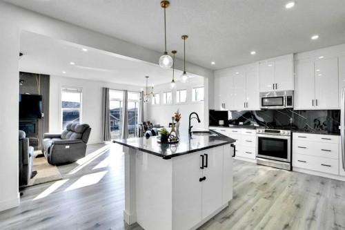 32 Redstone Court Ne, Calgary, AB - Indoor Photo Showing Kitchen With Upgraded Kitchen