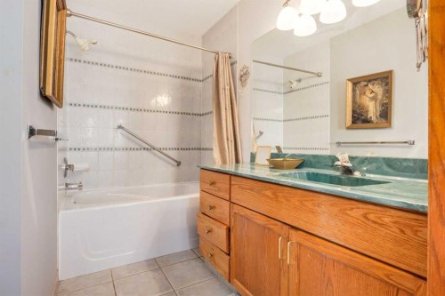 48 Patina Point Sw, Calgary, AB - Indoor Photo Showing Bathroom