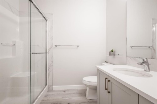 137 Les Jardins Park Se, Calgary, AB - Indoor Photo Showing Bathroom
