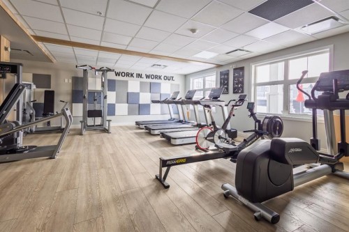 137 Les Jardins Park Se, Calgary, AB - Indoor Photo Showing Gym Room