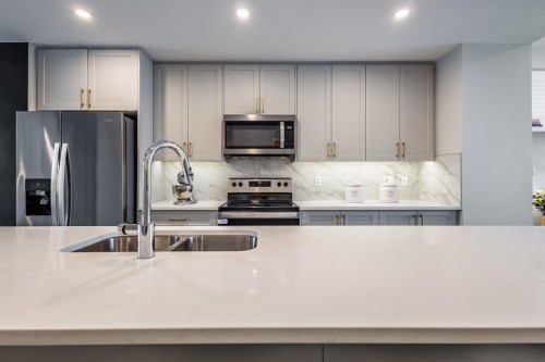 137 Les Jardins Park Se, Calgary, AB - Indoor Photo Showing Kitchen With Double Sink With Upgraded Kitchen