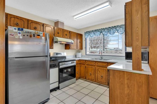 12 Whitaker Close Ne, Calgary, AB - Indoor Photo Showing Kitchen With Double Sink