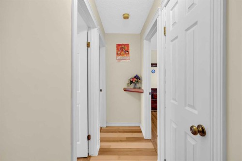 12 Whitaker Close Ne, Calgary, AB - Indoor Photo Showing Other Room