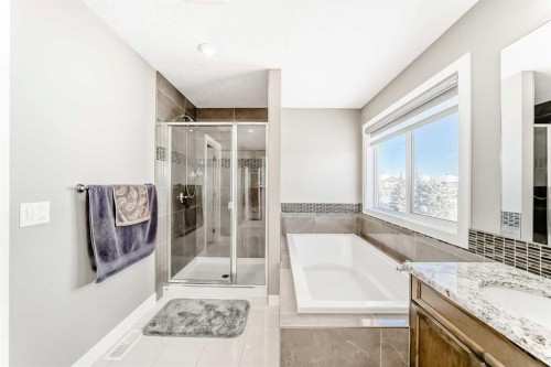 201 Aspenmere Way, Chestermere, AB - Indoor Photo Showing Bathroom
