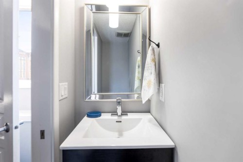 243 New Brighton Landing Se, Calgary, AB - Indoor Photo Showing Bathroom