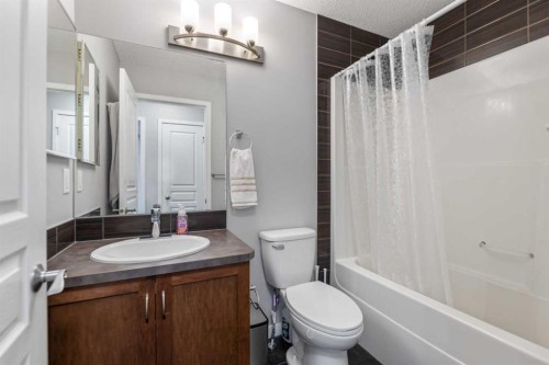 243 New Brighton Landing Se, Calgary, AB - Indoor Photo Showing Bathroom