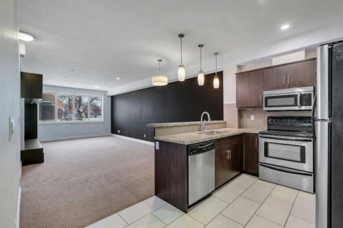 105-320 12 Avenue Ne, Calgary, AB - Indoor Photo Showing Kitchen