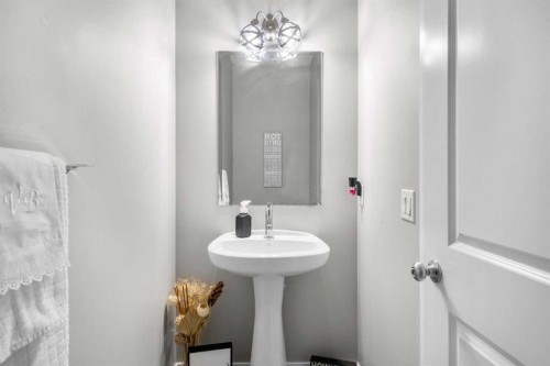 236 Walden Heights Se, Calgary, AB - Indoor Photo Showing Bathroom