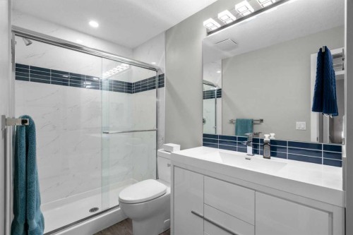 236 Walden Heights Se, Calgary, AB - Indoor Photo Showing Bathroom