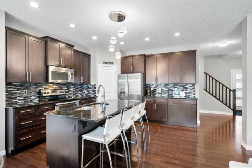236 Walden Heights Se, Calgary, AB - Indoor Photo Showing Kitchen With Double Sink With Upgraded Kitchen