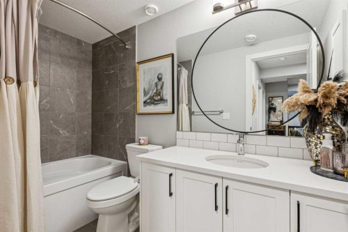 376 Precedence Hill, Cochrane, AB - Indoor Photo Showing Bathroom