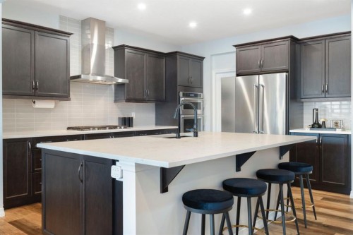 306 Corner Meadows Way Ne, Calgary, AB - Indoor Photo Showing Kitchen With Stainless Steel Kitchen With Upgraded Kitchen