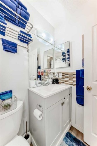 240 Applewood Drive Se, Calgary, AB - Indoor Photo Showing Bathroom
