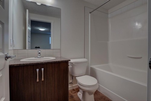 101 Auburn Bay Street Se, Calgary, AB - Indoor Photo Showing Bathroom