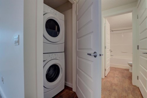101 Auburn Bay Street Se, Calgary, AB - Indoor Photo Showing Laundry Room