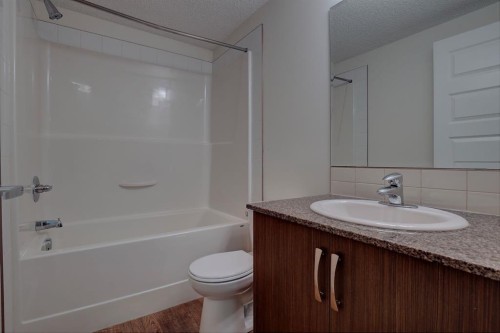 101 Auburn Bay Street Se, Calgary, AB - Indoor Photo Showing Bathroom