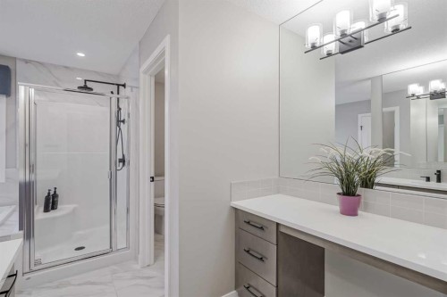 73 Magnolia Terrace Se, Calgary, AB - Indoor Photo Showing Bathroom