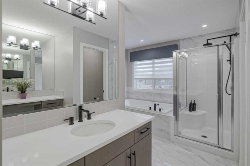 73 Magnolia Terrace Se, Calgary, AB - Indoor Photo Showing Bathroom