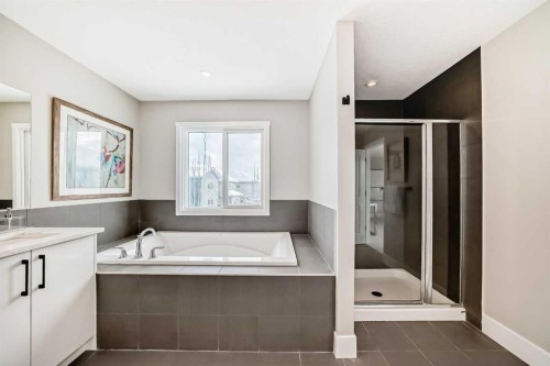 101 Auburn Springs Park Se, Calgary, AB - Indoor Photo Showing Bathroom