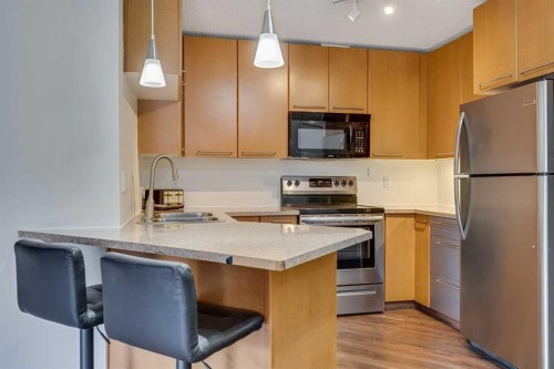 113-35 Richard Court Sw, Calgary, AB - Indoor Photo Showing Kitchen With Double Sink