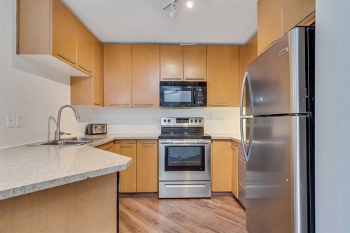 113-35 Richard Court Sw, Calgary, AB - Indoor Photo Showing Kitchen With Double Sink