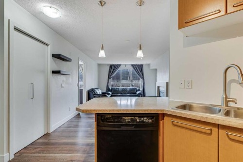 113-35 Richard Court Sw, Calgary, AB - Indoor Photo Showing Kitchen With Double Sink