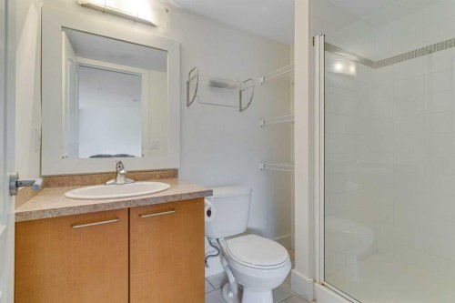 113-35 Richard Court Sw, Calgary, AB - Indoor Photo Showing Bathroom