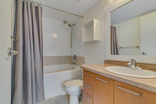 113-35 Richard Court Sw, Calgary, AB - Indoor Photo Showing Bathroom