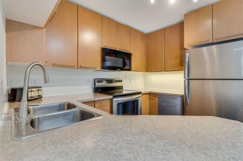 113-35 Richard Court Sw, Calgary, AB - Indoor Photo Showing Kitchen With Double Sink
