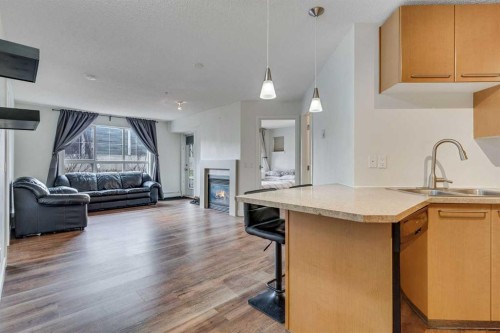 113-35 Richard Court Sw, Calgary, AB - Indoor Photo Showing Kitchen With Fireplace With Double Sink