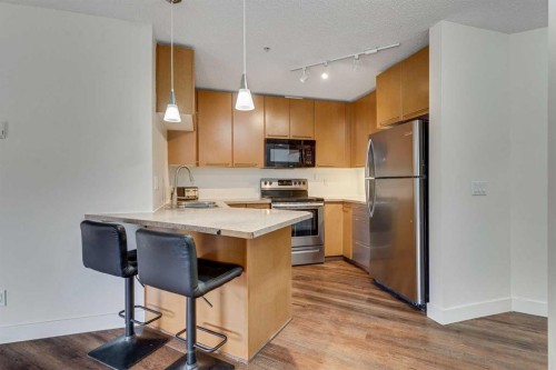 113-35 Richard Court Sw, Calgary, AB - Indoor Photo Showing Kitchen