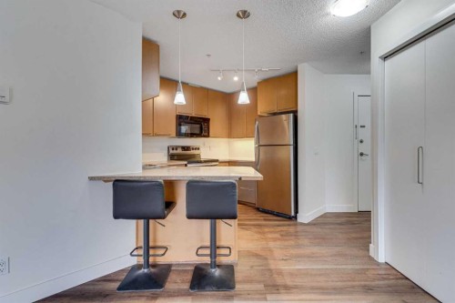 113-35 Richard Court Sw, Calgary, AB - Indoor Photo Showing Kitchen