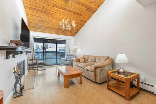410-3730 50 Street Nw, Calgary, AB - Indoor Photo Showing Living Room With Fireplace