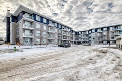 1231-76 Cornerstone Passage NE Calgary, AB T3N 0Y5