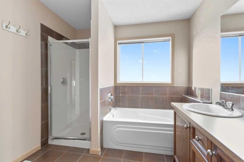 1083 Prairie Springs Hill Sw, Airdrie, AB - Indoor Photo Showing Bathroom