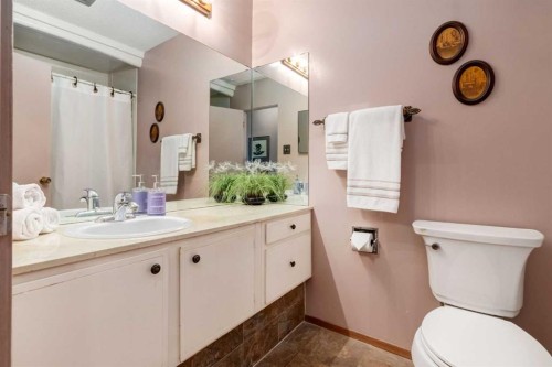 180 Maple Court Crescent Se, Calgary, AB - Indoor Photo Showing Bathroom