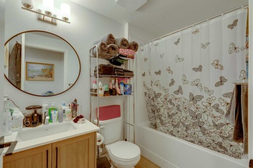 78 Mallard Heath Se, Calgary, AB - Indoor Photo Showing Bathroom