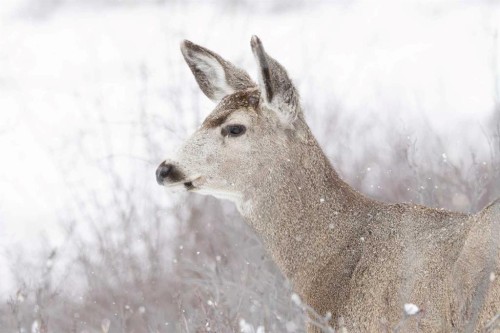 33 Discovery Rise Sw, Calgary, AB - Outdoor