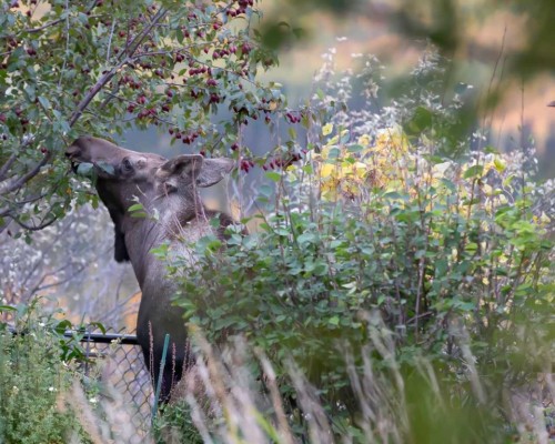 33 Discovery Rise Sw, Calgary, AB - Outdoor With View