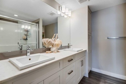 221-110 Auburn Meadows View Se, Calgary, AB - Indoor Photo Showing Bathroom