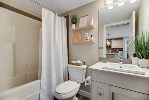221-110 Auburn Meadows View Se, Calgary, AB - Indoor Photo Showing Bathroom