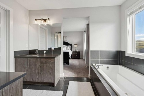 363 Precedence Hill, Cochrane, AB - Indoor Photo Showing Bathroom