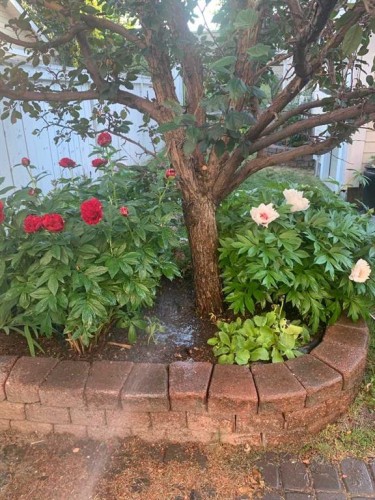 78 Ypres Green Sw, Calgary, AB - Outdoor