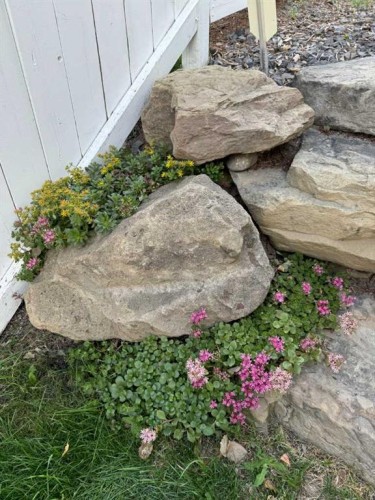 78 Ypres Green Sw, Calgary, AB - Outdoor